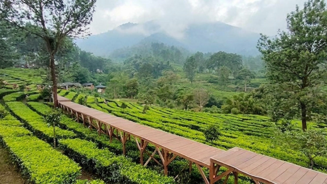 One Day Puncak Tour